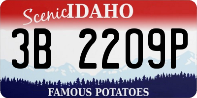 ID license plate 3B2209P