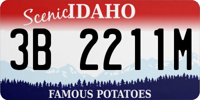 ID license plate 3B2211M
