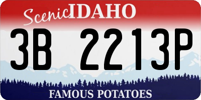 ID license plate 3B2213P