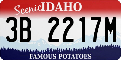 ID license plate 3B2217M