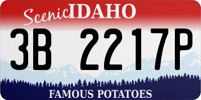 ID license plate 3B2217P