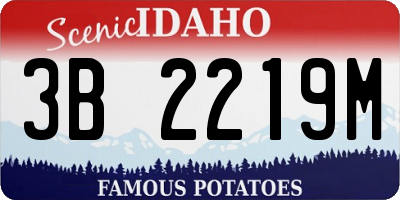 ID license plate 3B2219M