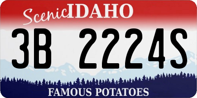 ID license plate 3B2224S