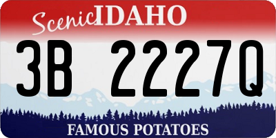 ID license plate 3B2227Q