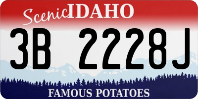 ID license plate 3B2228J