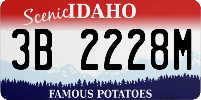 ID license plate 3B2228M