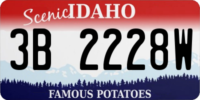 ID license plate 3B2228W