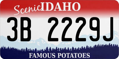 ID license plate 3B2229J