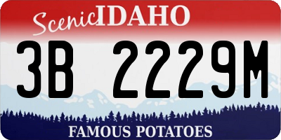 ID license plate 3B2229M