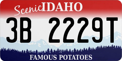 ID license plate 3B2229T