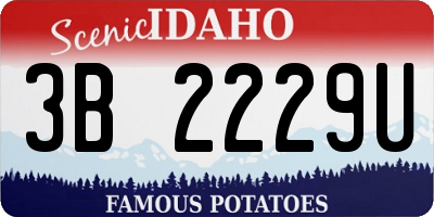 ID license plate 3B2229U
