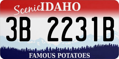 ID license plate 3B2231B