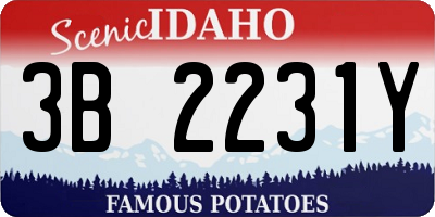 ID license plate 3B2231Y