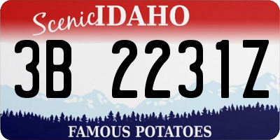 ID license plate 3B2231Z