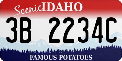 ID license plate 3B2234C