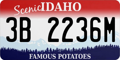 ID license plate 3B2236M