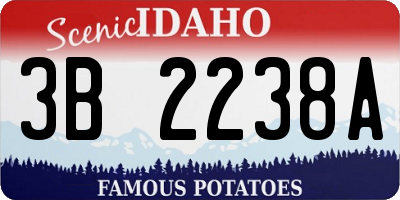 ID license plate 3B2238A