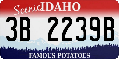 ID license plate 3B2239B