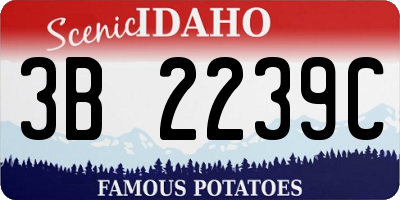 ID license plate 3B2239C
