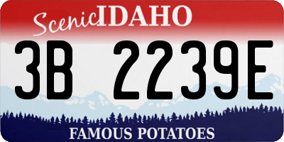 ID license plate 3B2239E