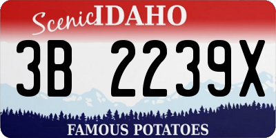 ID license plate 3B2239X