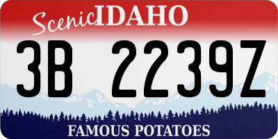 ID license plate 3B2239Z