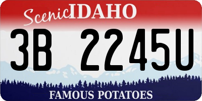 ID license plate 3B2245U