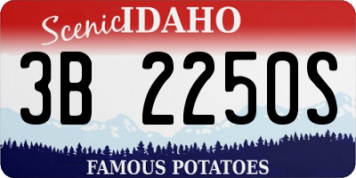 ID license plate 3B2250S