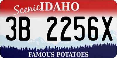 ID license plate 3B2256X