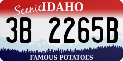 ID license plate 3B2265B