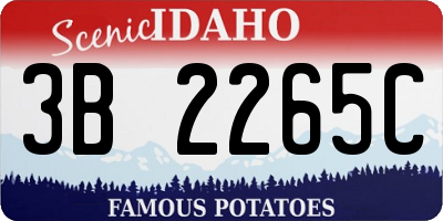 ID license plate 3B2265C