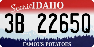 ID license plate 3B2265Q