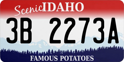 ID license plate 3B2273A
