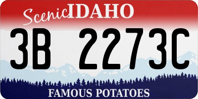 ID license plate 3B2273C
