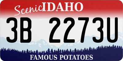ID license plate 3B2273U