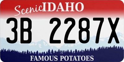 ID license plate 3B2287X