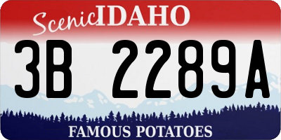 ID license plate 3B2289A