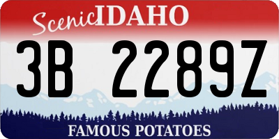 ID license plate 3B2289Z
