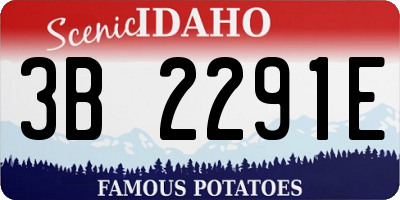 ID license plate 3B2291E