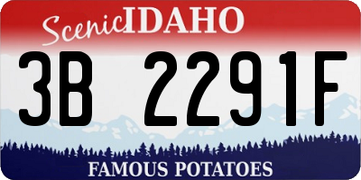 ID license plate 3B2291F