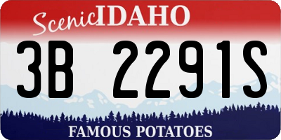 ID license plate 3B2291S