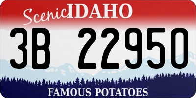 ID license plate 3B2295O