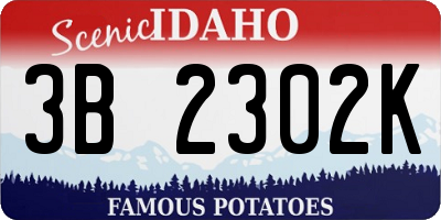 ID license plate 3B2302K
