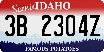 ID license plate 3B2304Z