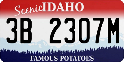 ID license plate 3B2307M