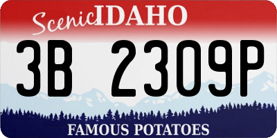 ID license plate 3B2309P
