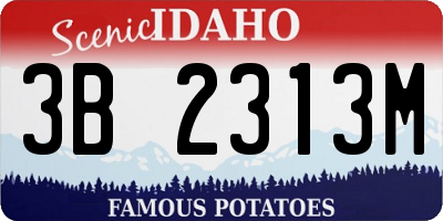 ID license plate 3B2313M