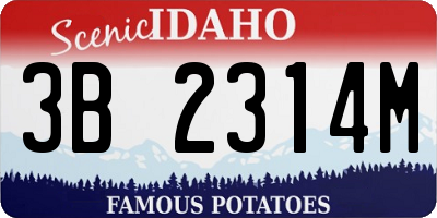 ID license plate 3B2314M
