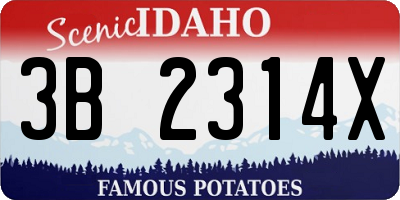 ID license plate 3B2314X