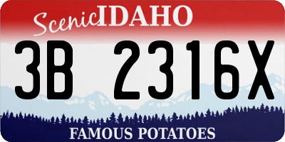 ID license plate 3B2316X